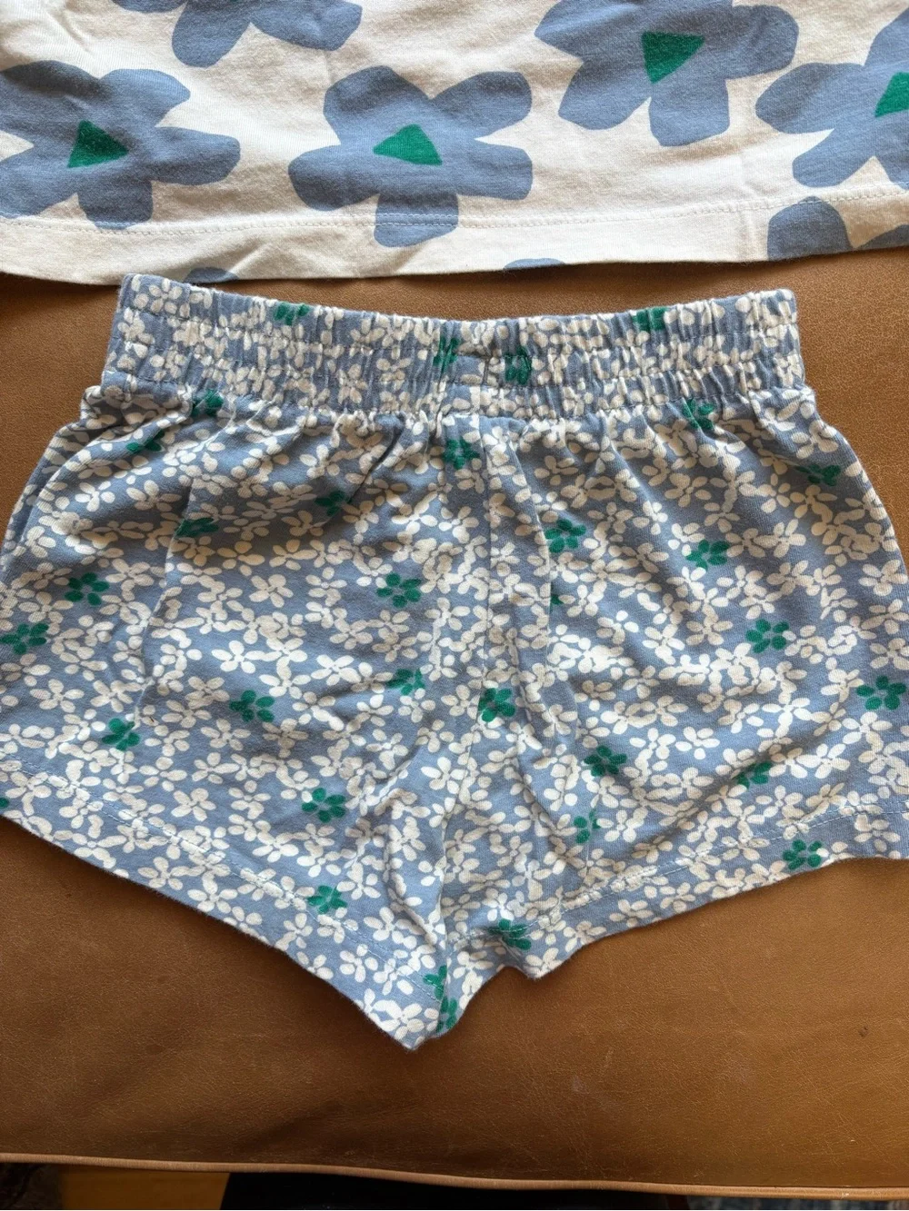 Hanna Andersson Floral T-Shirt and Shorts Set
